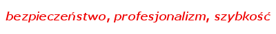 bezpieczeństwo, profesjonalizm, szybkość - RMS.pl